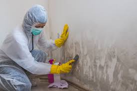 Trusted Waterford, CA Mold Remediation Experts